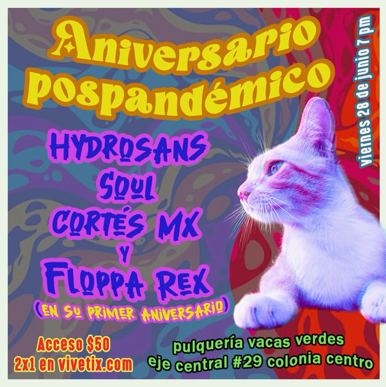 Imagen 3