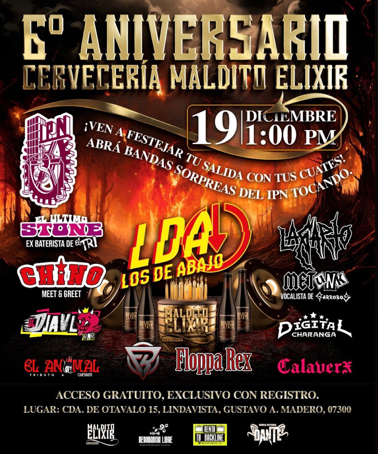 Imagen 5