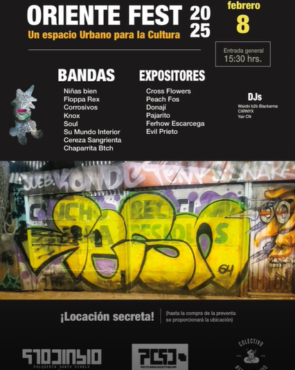 Imagen 6